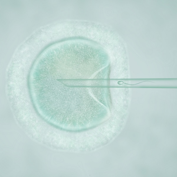 Unravelling assisted conception options ivf