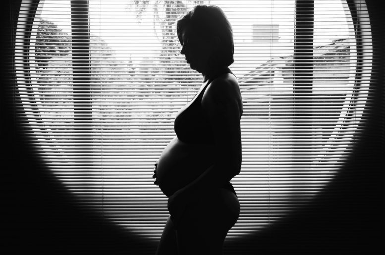 pregnant woman in window